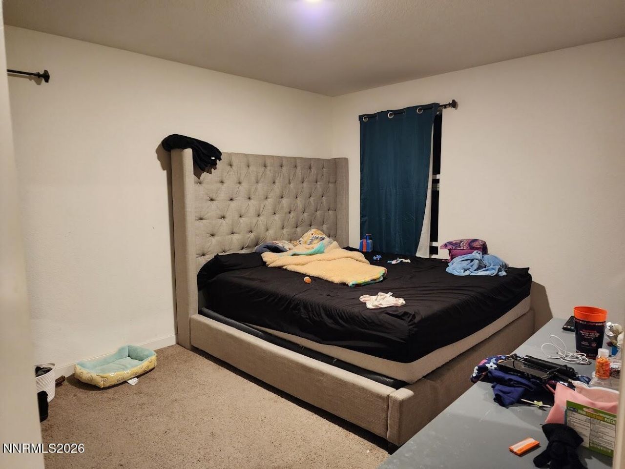 8810 Sky Wind Road, Reno, NV 89506 Photo