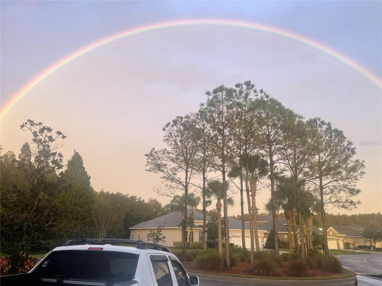 10503 Palm Cove Avenue, Tampa, FL 33647 Photo