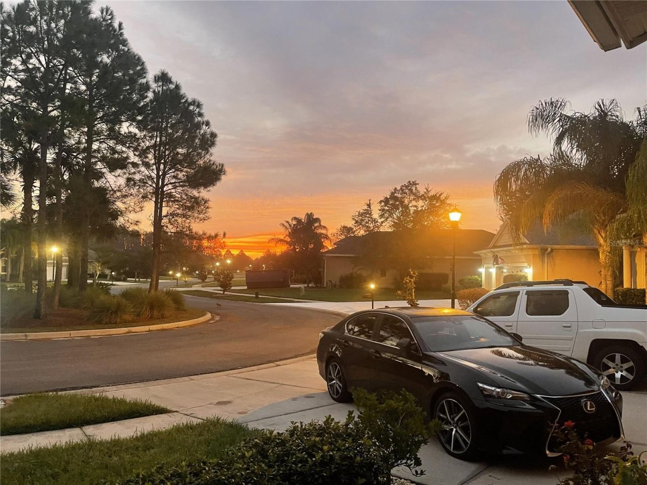 10503 Palm Cove Avenue, Tampa, FL 33647 Photo