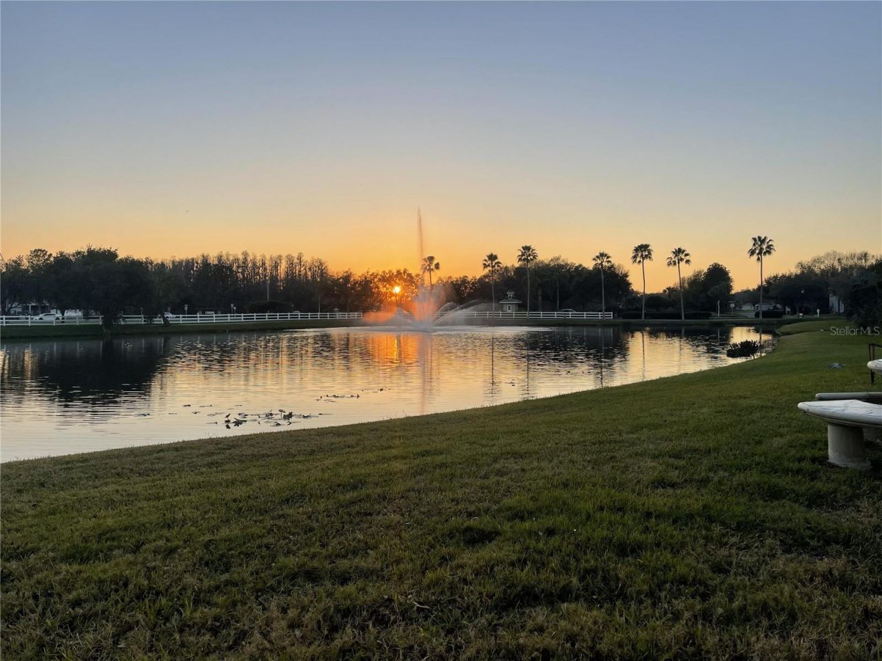 10503 Palm Cove Avenue, Tampa, FL 33647 Photo