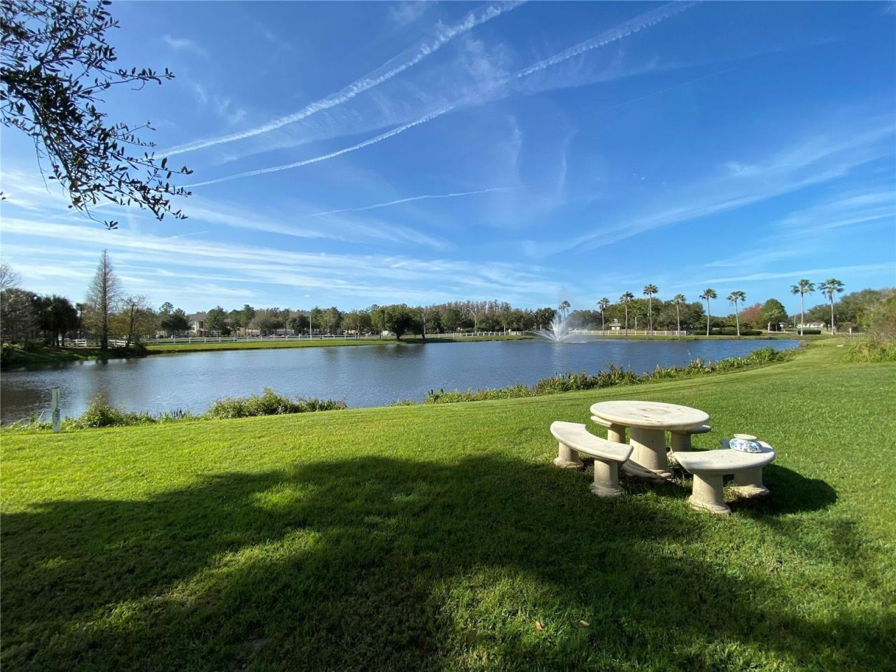 10503 Palm Cove Avenue, Tampa, FL 33647 Photo