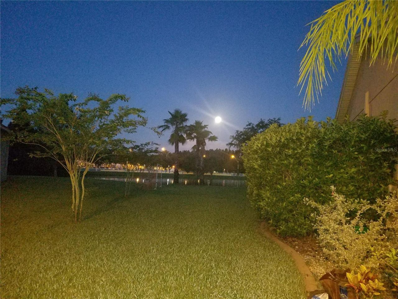 10503 Palm Cove Avenue, Tampa, FL 33647 Photo