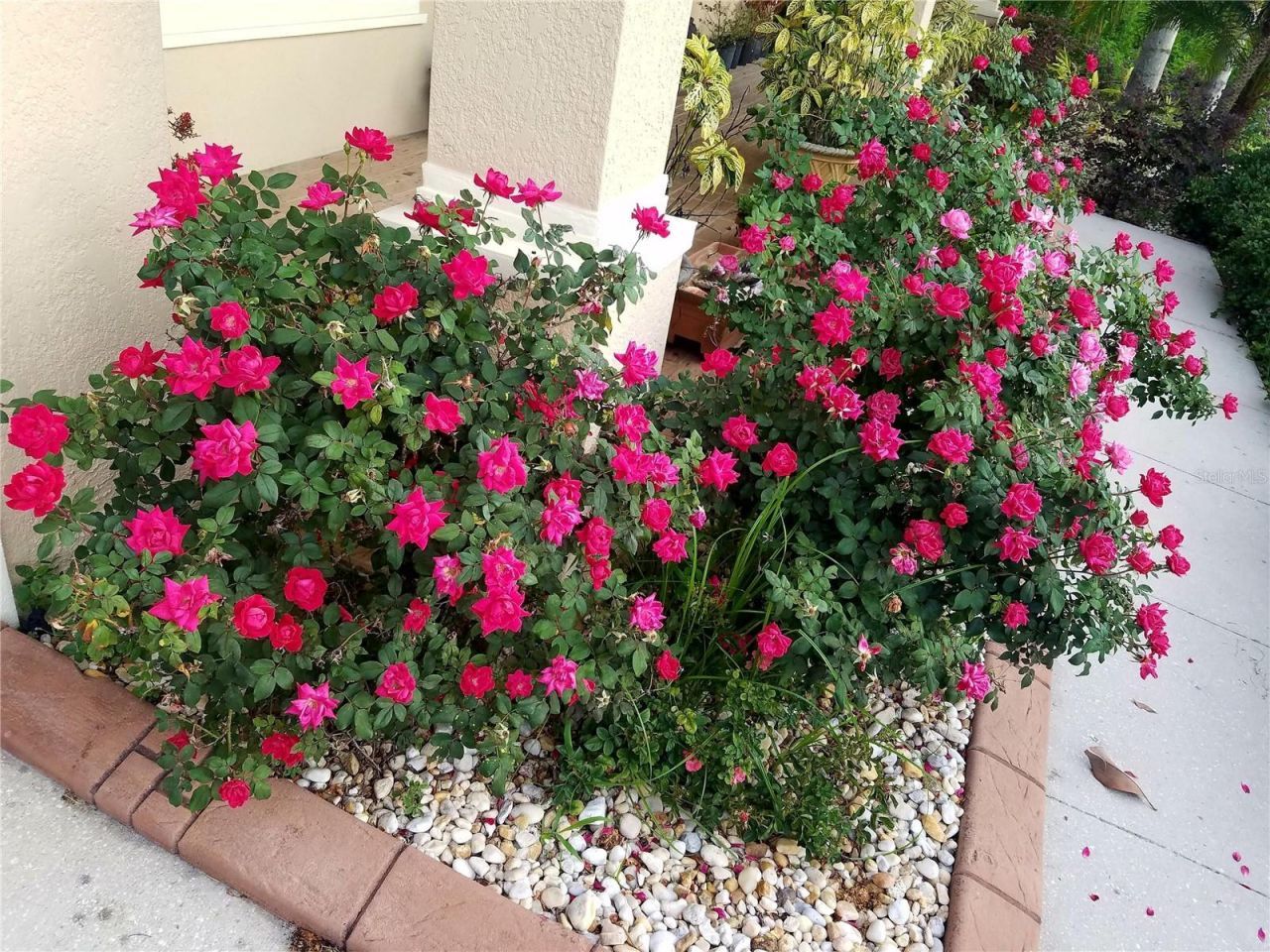 10503 Palm Cove Avenue, Tampa, FL 33647 Photo