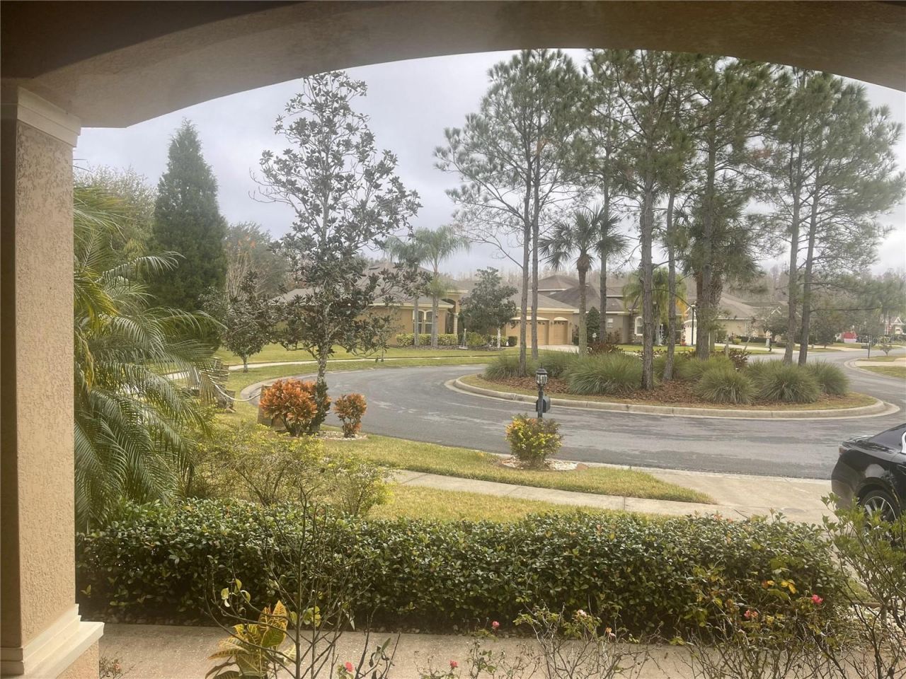 10503 Palm Cove Avenue, Tampa, FL 33647 Photo