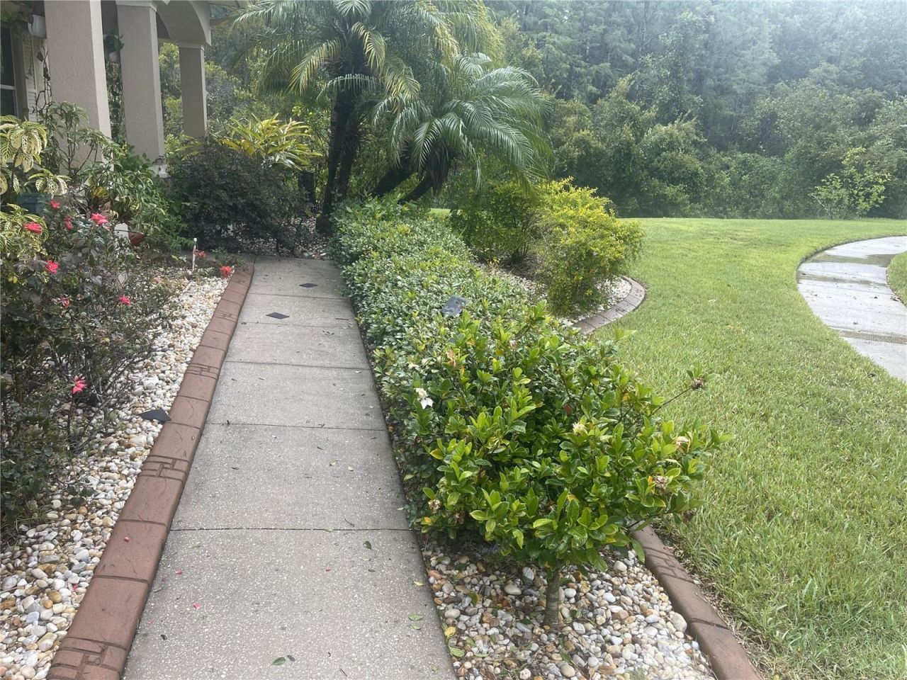 10503 Palm Cove Avenue, Tampa, FL 33647 Photo