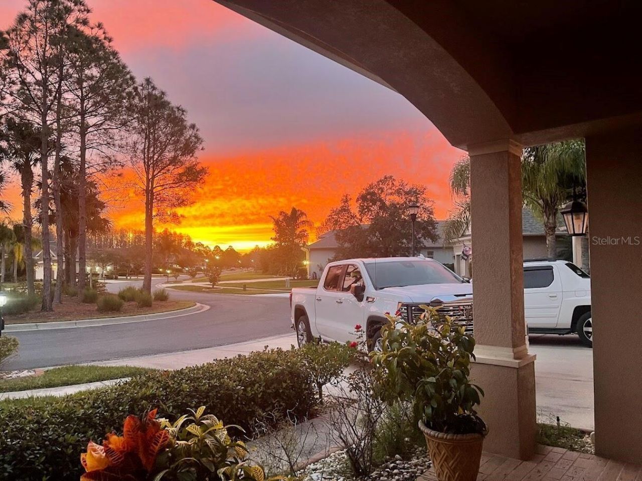 10503 Palm Cove Avenue, Tampa, FL 33647 Photo