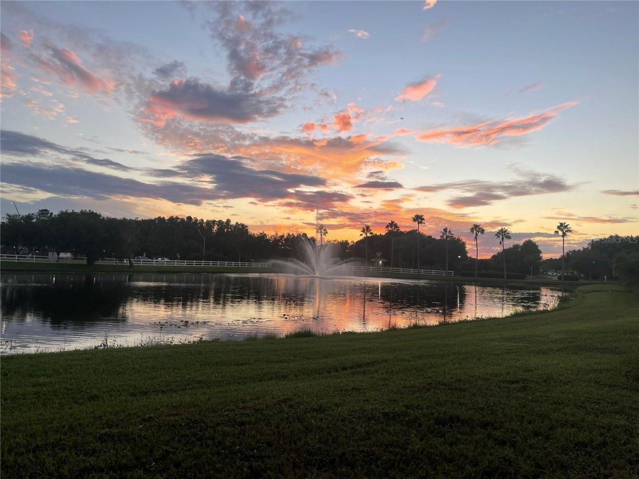 10503 Palm Cove Avenue, Tampa, FL 33647 Photo