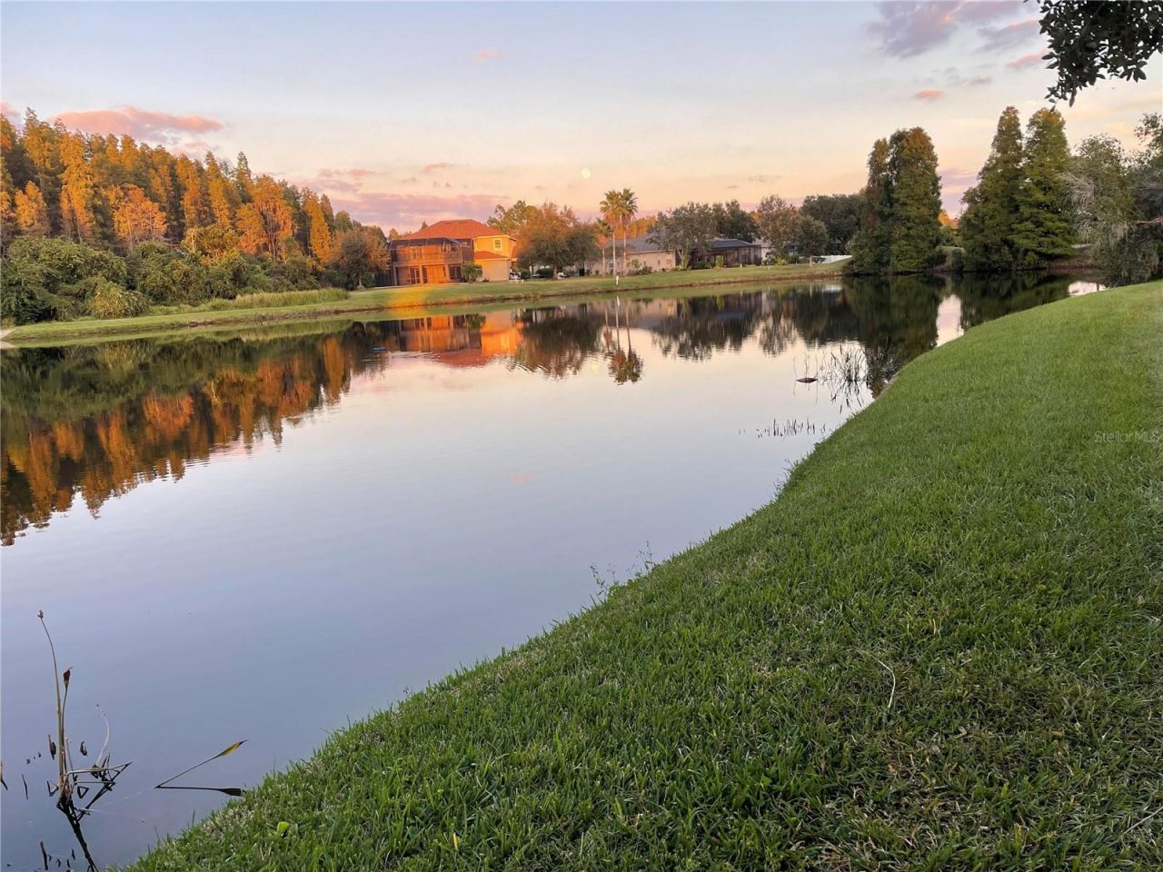 10503 Palm Cove Avenue, Tampa, FL 33647 Photo