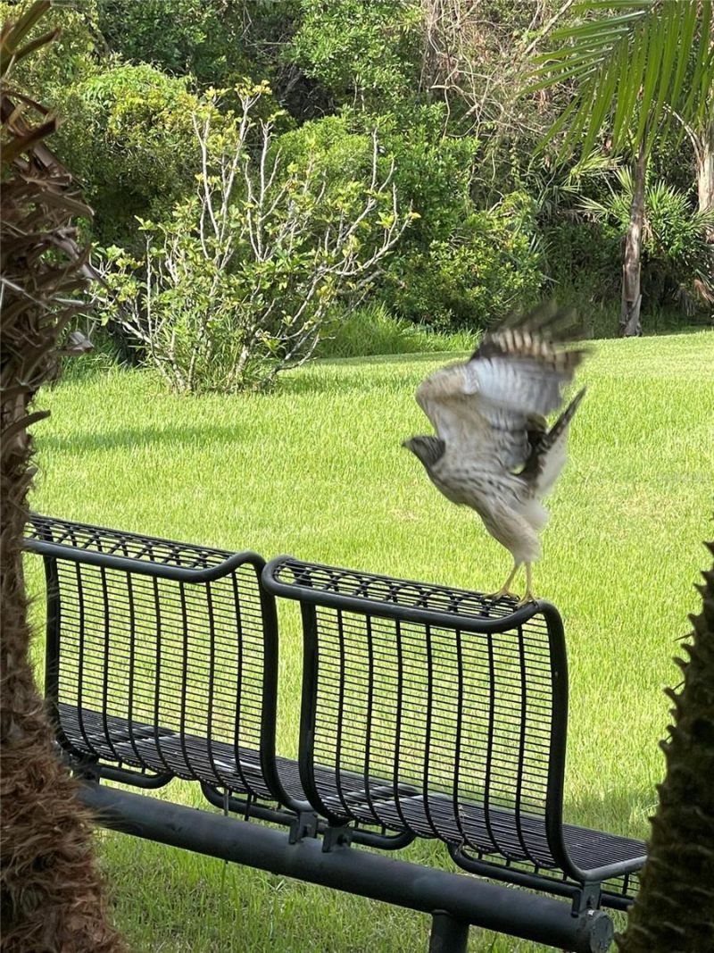 10503 Palm Cove Avenue, Tampa, FL 33647 Photo