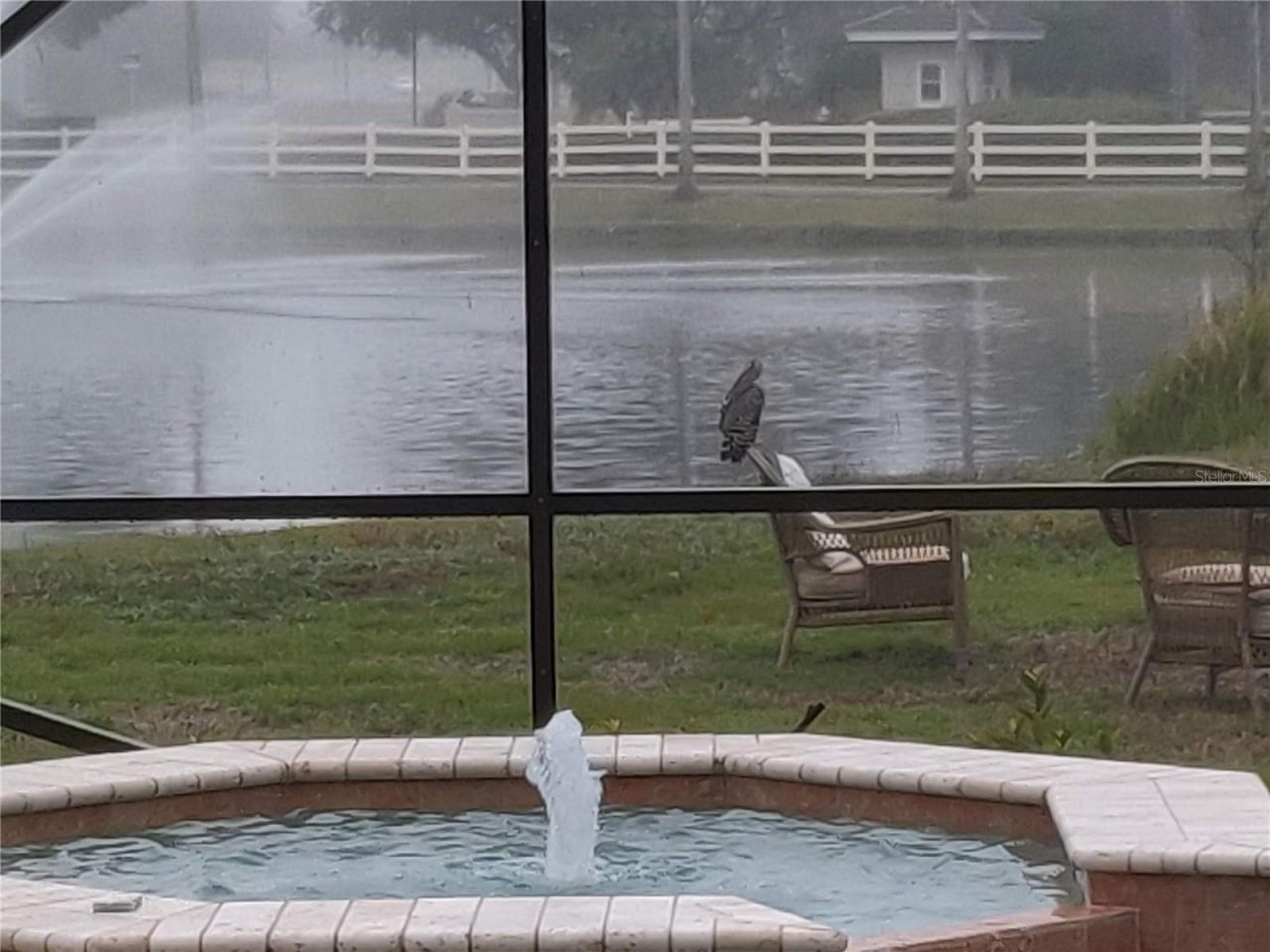 10503 Palm Cove Avenue, Tampa, FL 33647 Photo