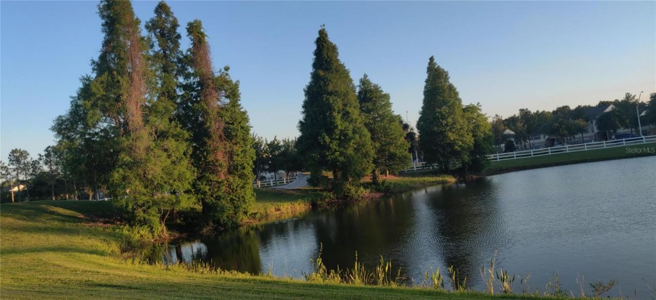 10503 Palm Cove Avenue, Tampa, FL 33647 Photo