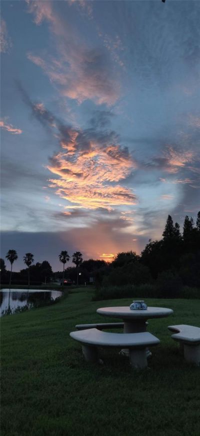 10503 Palm Cove Avenue, Tampa, FL 33647 Photo