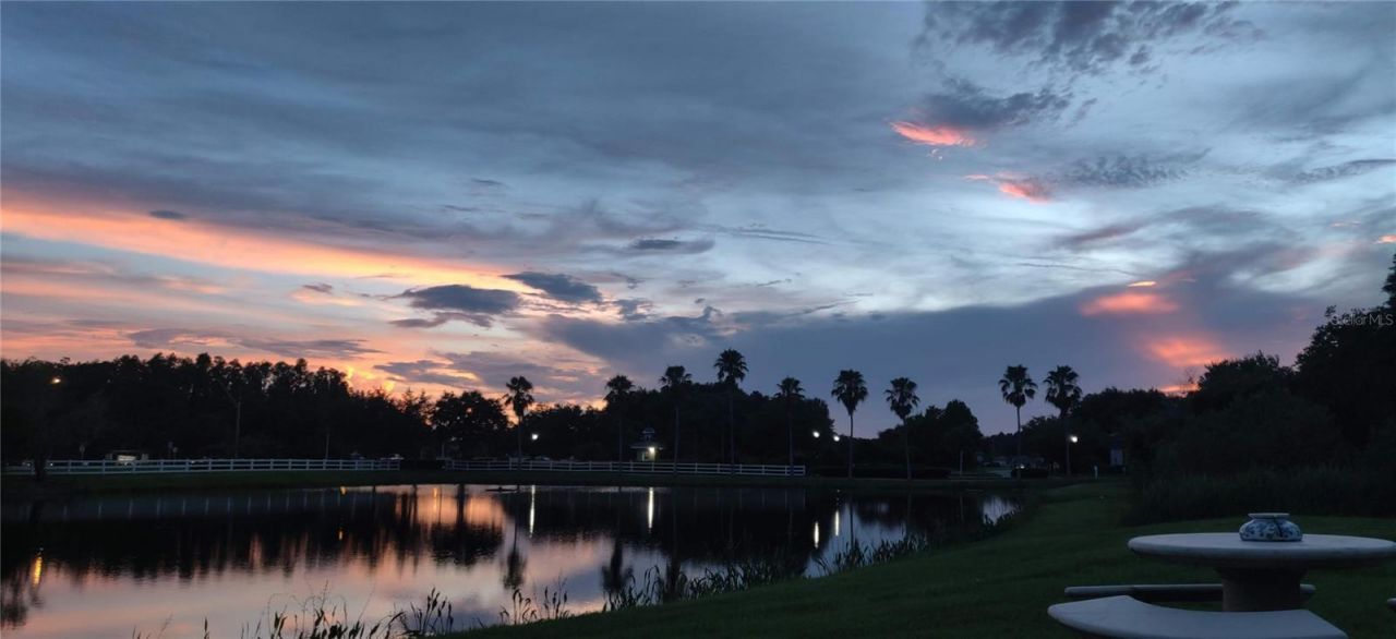 10503 Palm Cove Avenue, Tampa, FL 33647 Photo