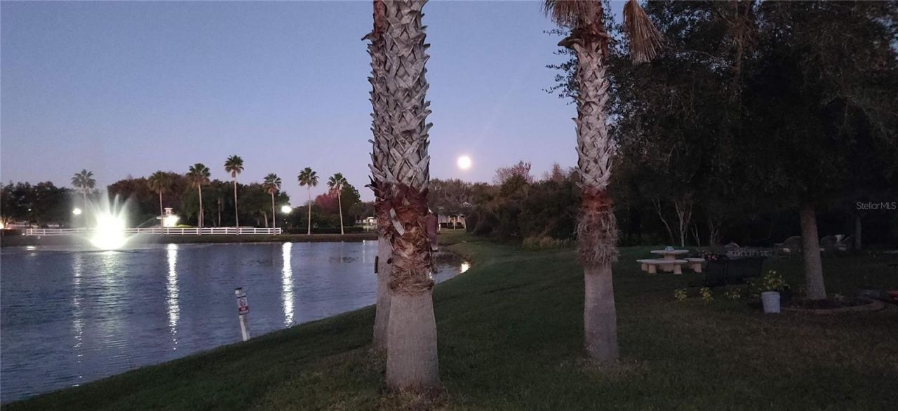 10503 Palm Cove Avenue, Tampa, FL 33647 Photo