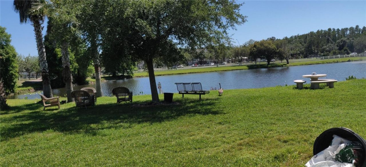 10503 Palm Cove Avenue, Tampa, FL 33647 Photo