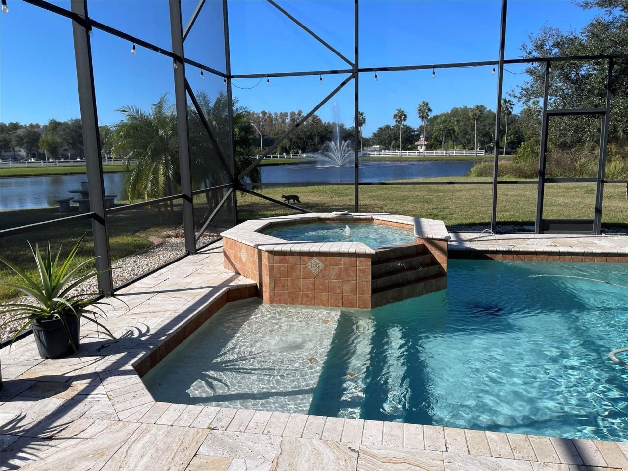 10503 Palm Cove Avenue, Tampa, FL 33647 Photo