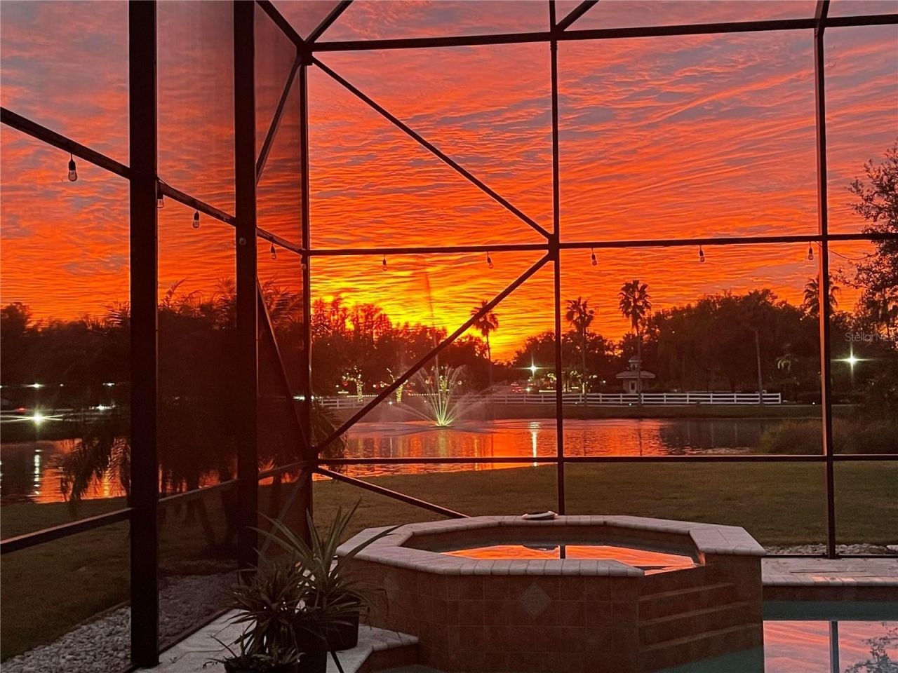 10503 Palm Cove Avenue, Tampa, FL 33647 Photo