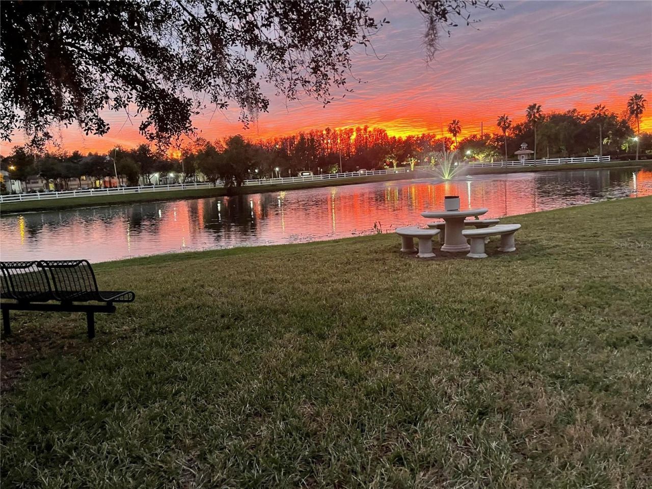 10503 Palm Cove Avenue, Tampa, FL 33647 Photo