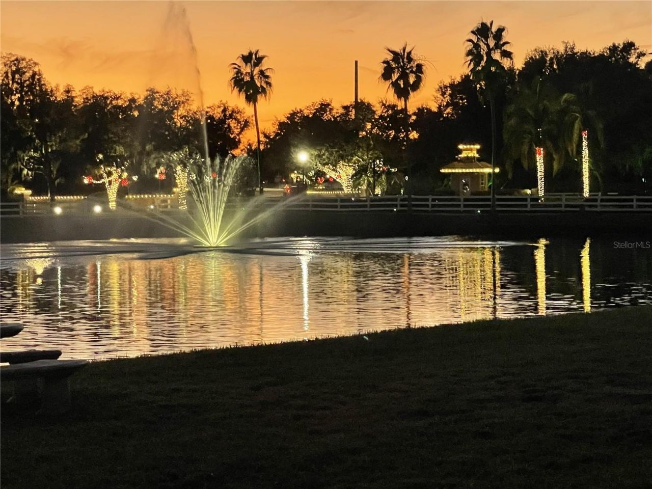 10503 Palm Cove Avenue, Tampa, FL 33647 Photo