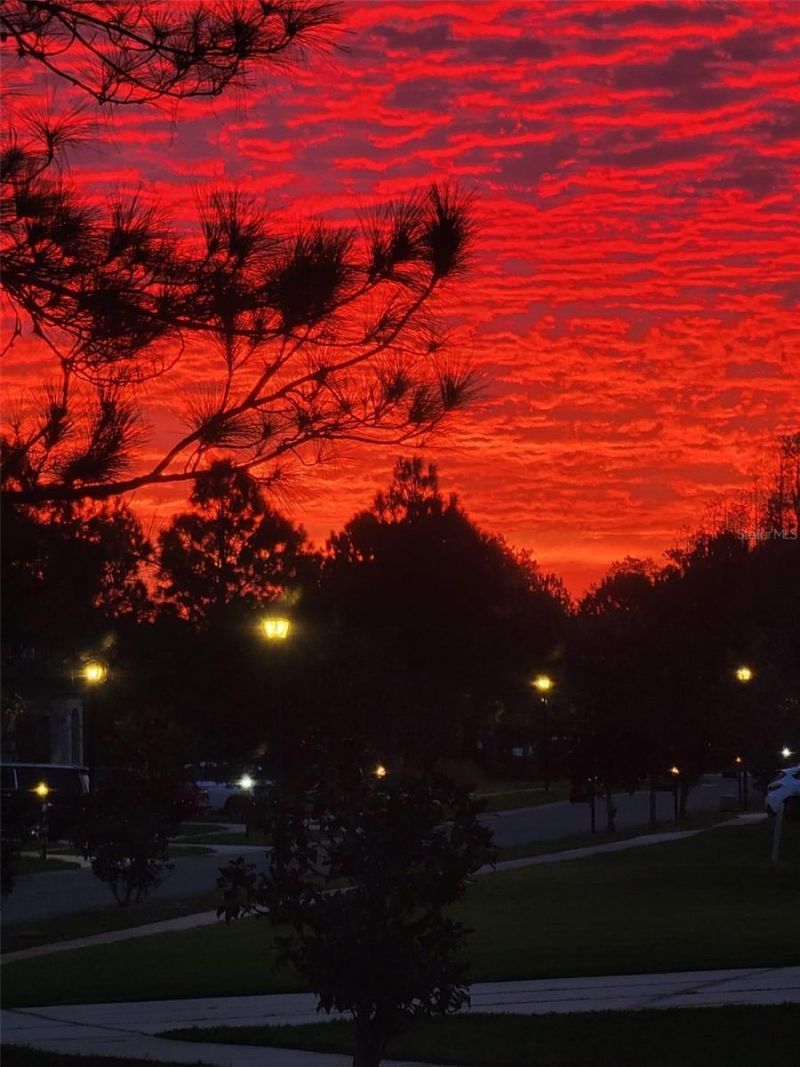 10503 Palm Cove Avenue, Tampa, FL 33647 Photo