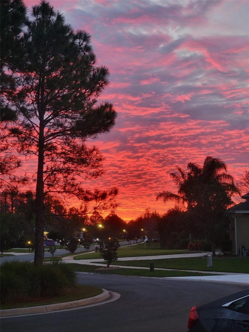 10503 Palm Cove Avenue, Tampa, FL 33647 Photo