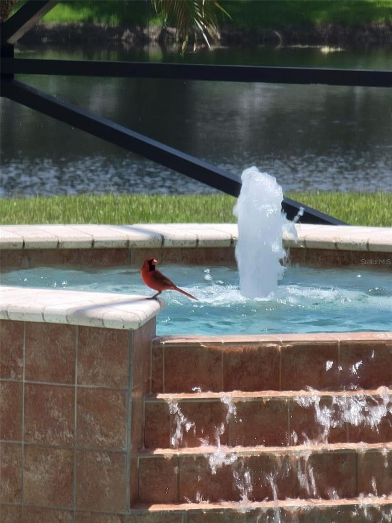 10503 Palm Cove Avenue, Tampa, FL 33647 Photo