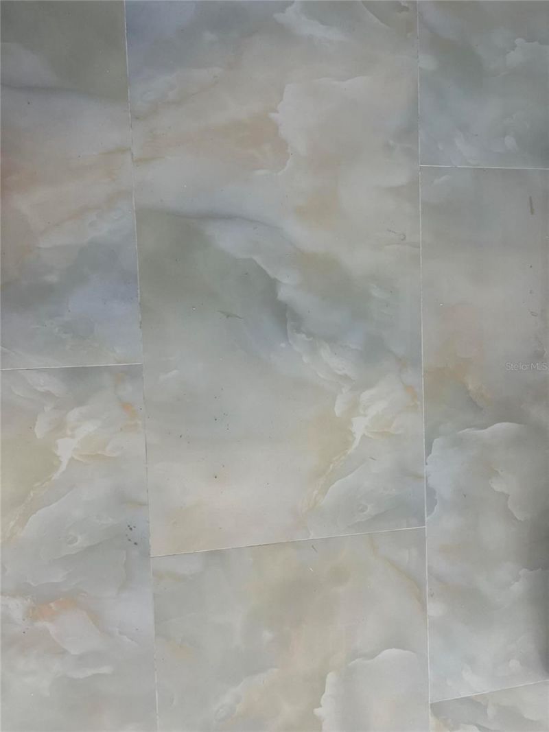 1736 Colorado Avenue Ne, Saint Petersburg, FL 33703 Photo