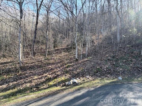 76 View Ridge Parkway, Leicester, NC 28748