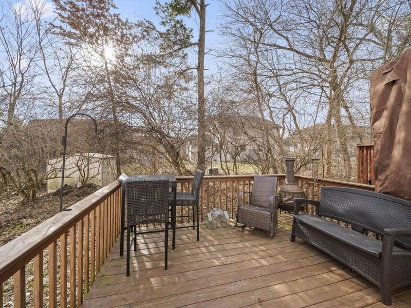 3073 Birch Hollow Way, Columbus, OH 43231 Photo 51