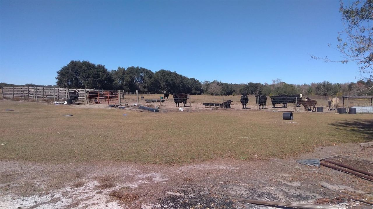 12051 Avon Park Cut Off Road, Fort Meade, FL 33841 Photo