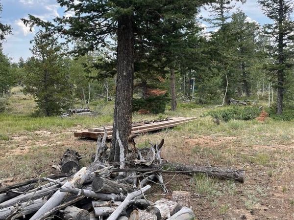 247 Sutiki Drive , Red Feather Lakes, CO 80545