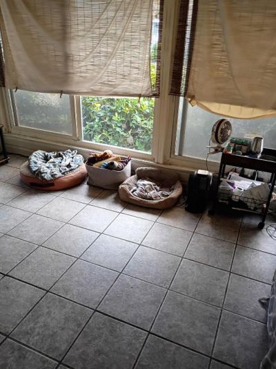 6567 NW 34th Avenue, Coconut Creek, FL 33073 Photo