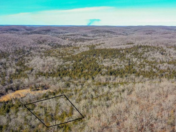 Lot 64 Big Buck Lane, Williford, AR 72482