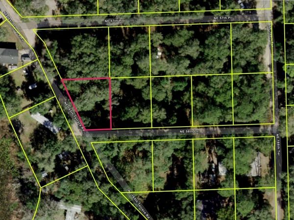 NORTHEAST 56TH LANE, SILVER SPRINGS, FL 34488