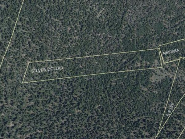 000 Silver Dollar Lode , Georgetown, CO 80444