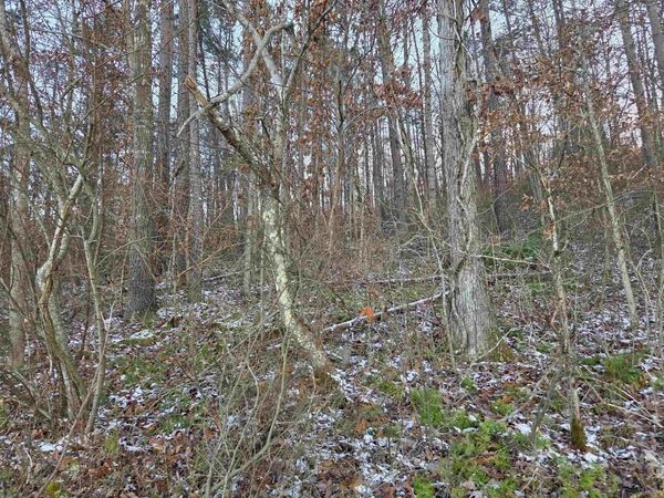 D Street, Louisa, KY 41230