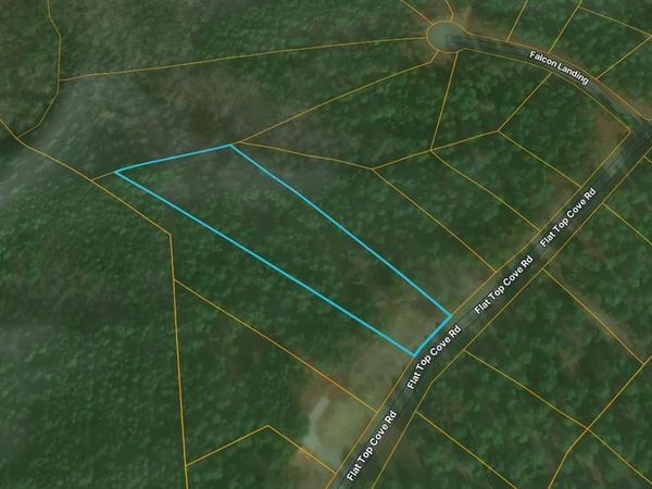 00 FLAT TOP COVE ROAD, GRETNA, VA 24557