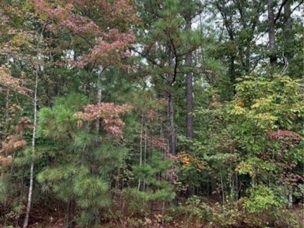 000 Easy Street, Disputanta, VA 23842