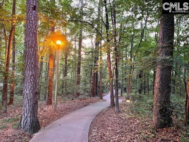 605 Timberleaf Court  Photo 50