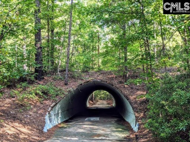 605 Timberleaf Court  Photo 51