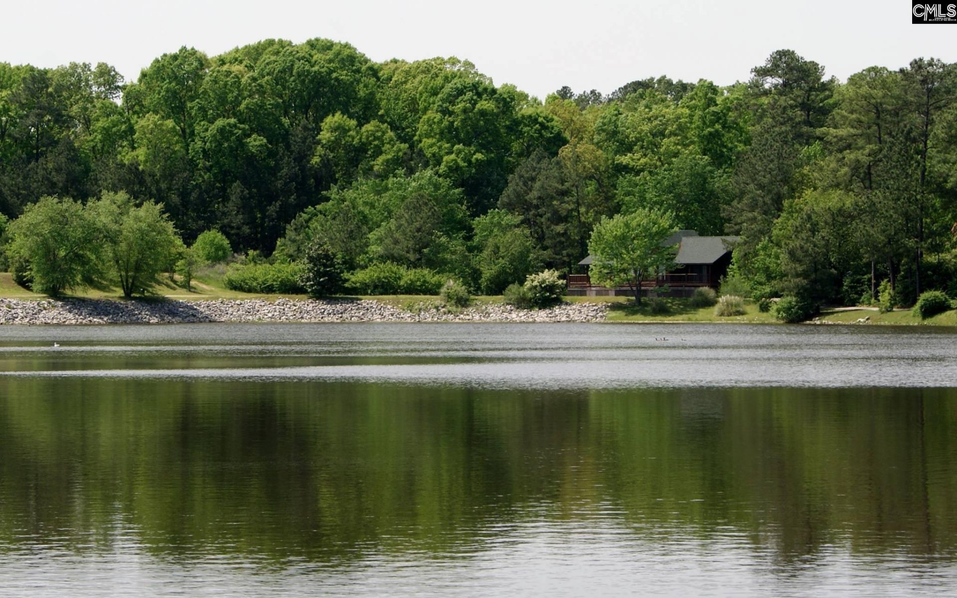 605 Timberleaf Court Photo 49