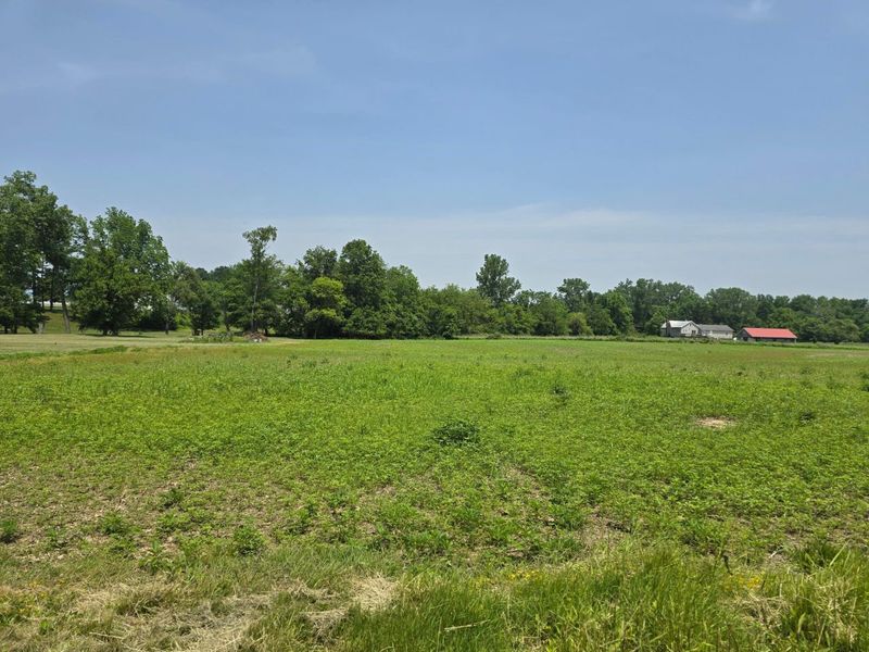 001 Reichelderfer Street, Cardington, OH 43315 Photo 2