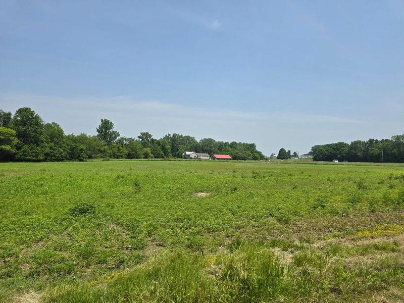 001 Reichelderfer Street, Cardington, OH 43315 Photo 3