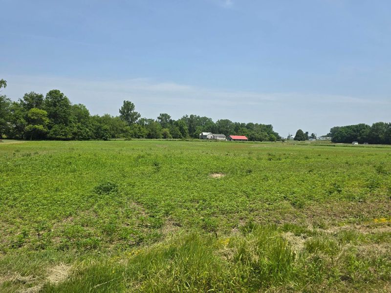 001 Reichelderfer Street, Cardington, OH 43315 Photo 6