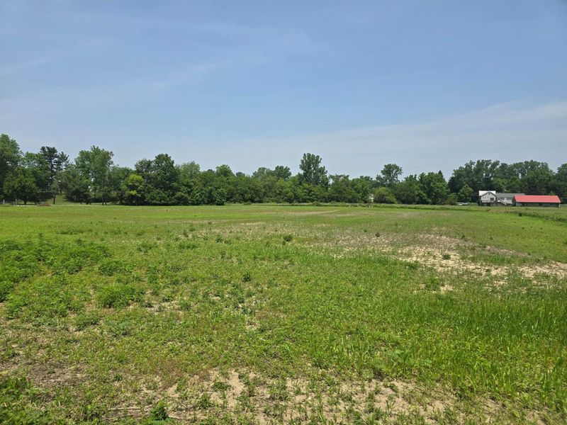 001 Reichelderfer Street, Cardington, OH 43315 Photo 9