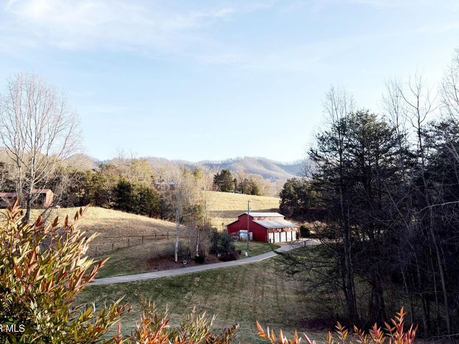 Property Image 133