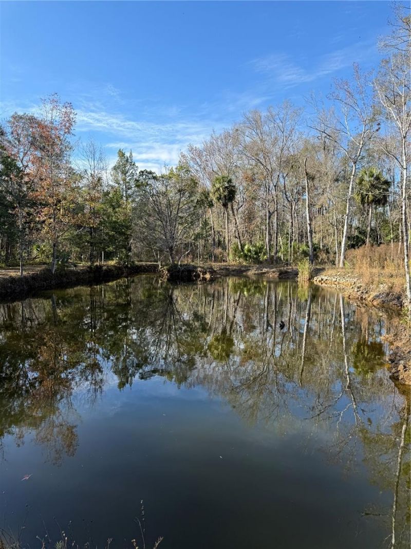 00 Clayton Road, Cedar Key, FL 32625 Photo