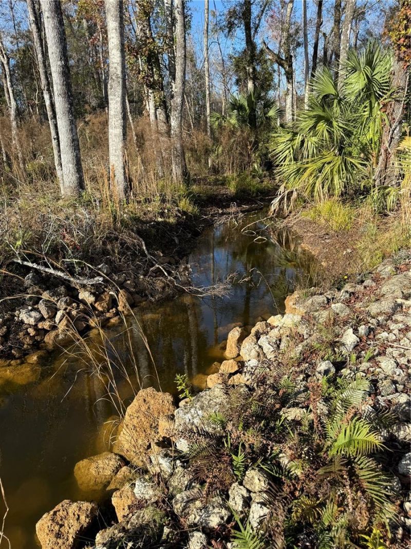 00 Clayton Road, Cedar Key, FL 32625 Photo