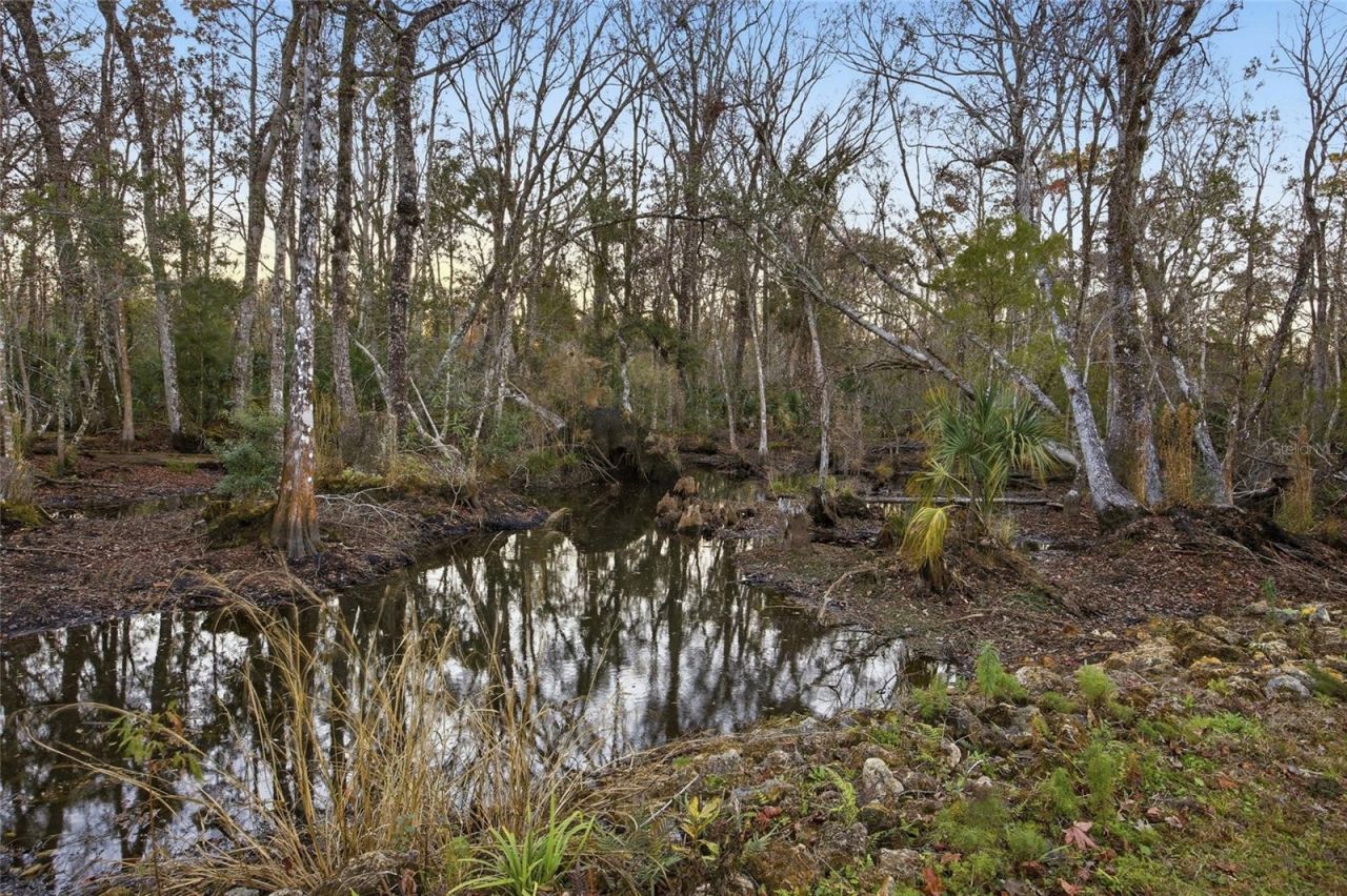00 Clayton Road, Cedar Key, FL 32625 Photo