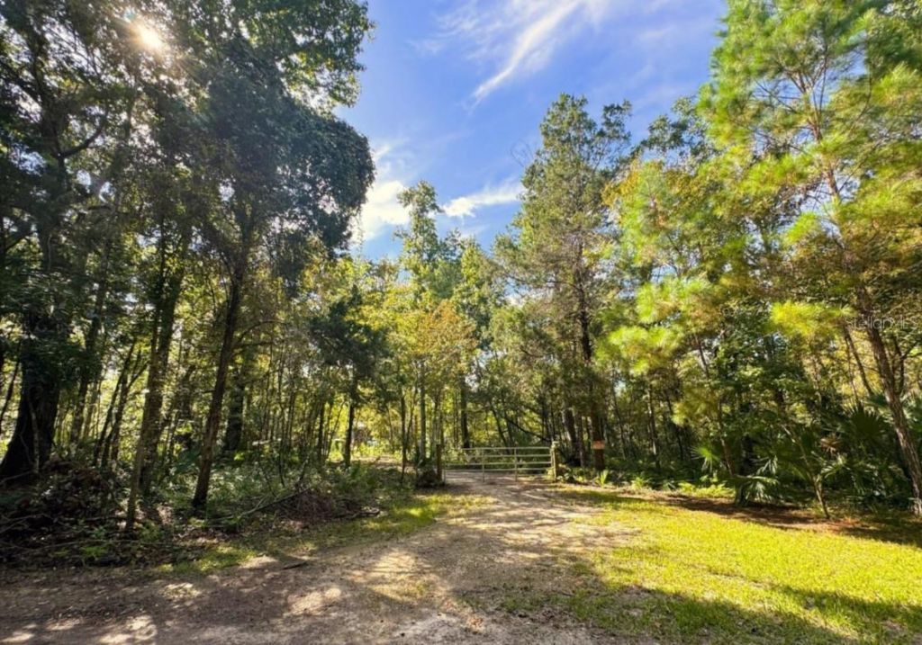 00 Clayton Road, Cedar Key, FL 32625 Photo